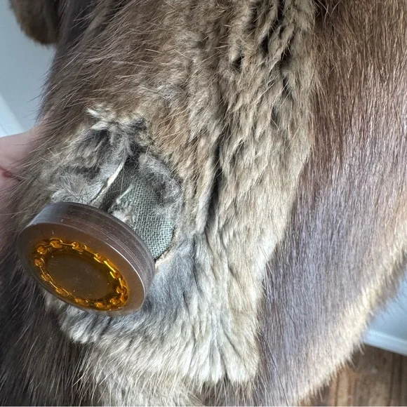 Vintage 70s Penny Lane Raccoon Fur Coat Fox Collar XS/S Longline Boho Statement - Picture 10 of 16